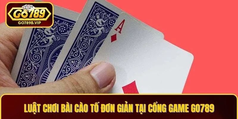 Luật chơi Bài Cào Tố đơn giản cho người mới