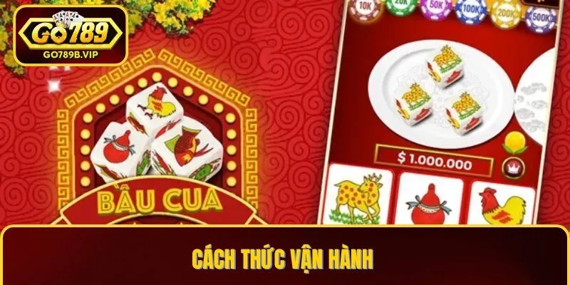 Cách thức đặt cược dành cho người mới Cách thức đặt cược dành cho người mới