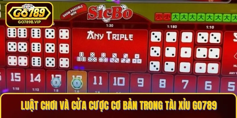Tân thủ cần hiểu luật và tỷ lệ thưởng trong Tài Xỉu Go789