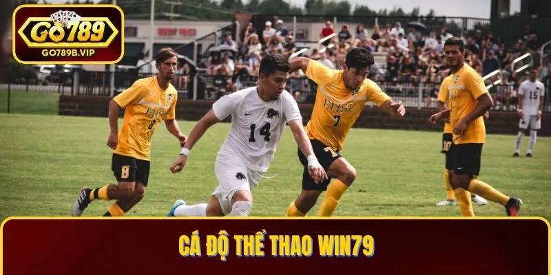 Cá độ thể thao Win79